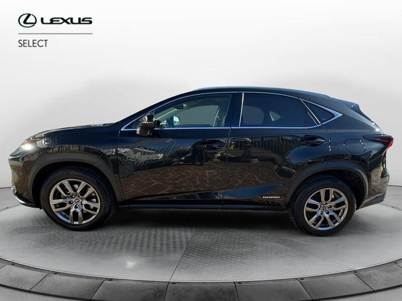 Lexus NX Hybrid Lexus nx 300 H Premium 4WD