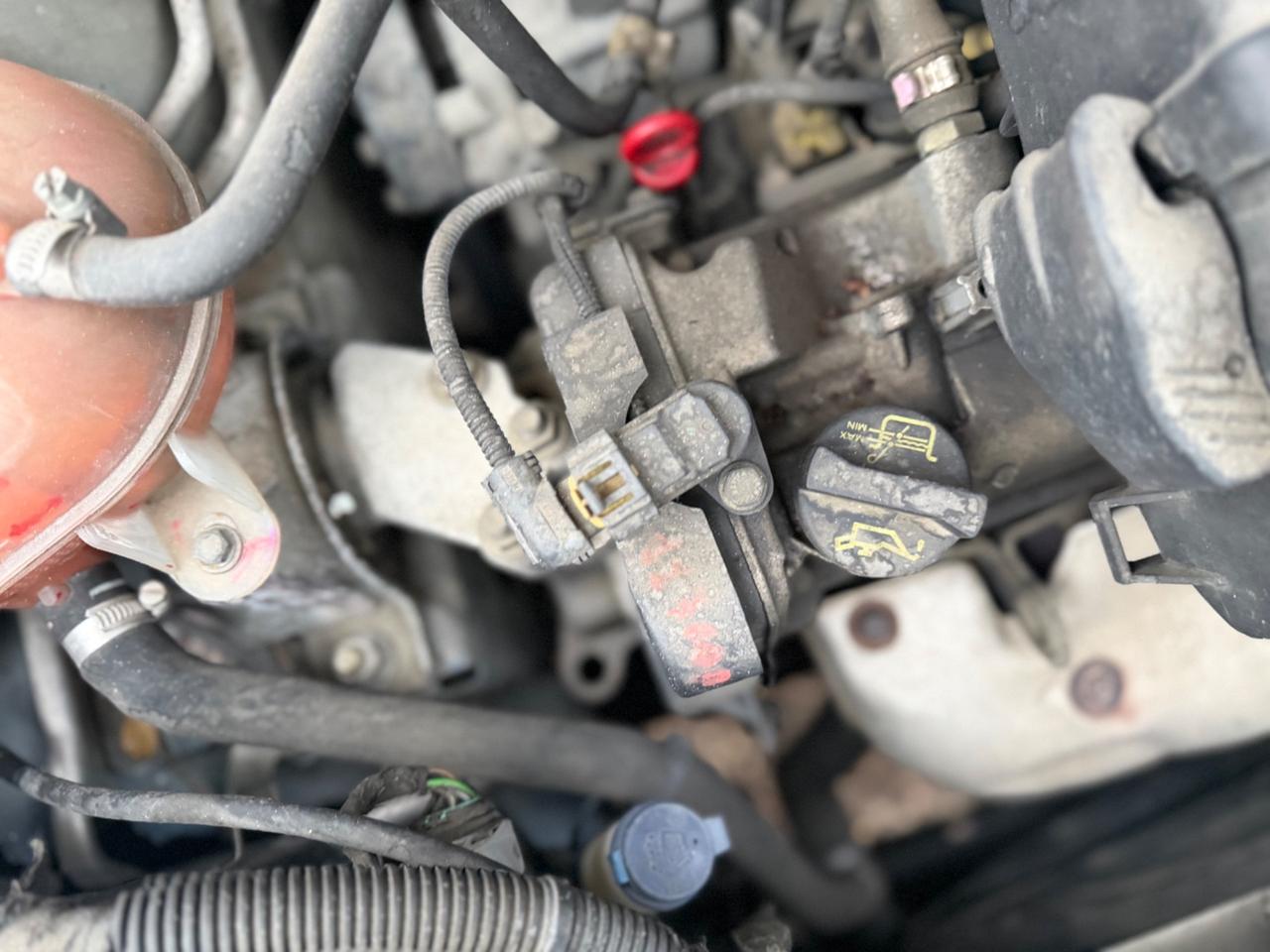 Fiat Panda 1.2 Dynamic NEOPATENTATI