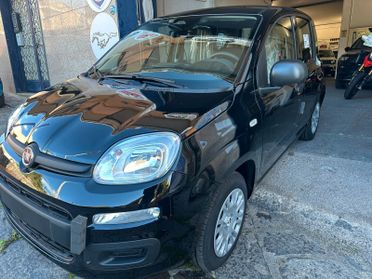 FIAT PANDA MY26 1.0 70cv Hybrid PANDA ICON
