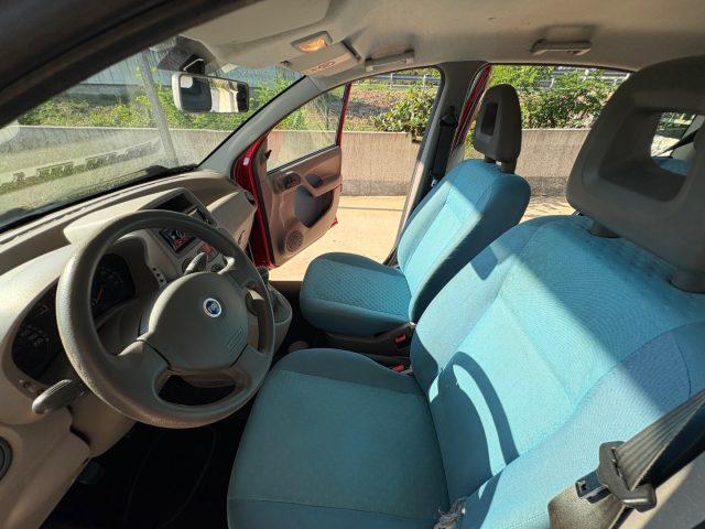 FIAT Panda 1.2 Dynamic OK NEOPATENTATI CON SERVOSTERZO