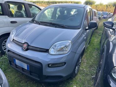 FIAT Panda III 2021 - Panda 1.0 firefly hybrid City Life s&s 70cv 5p.ti