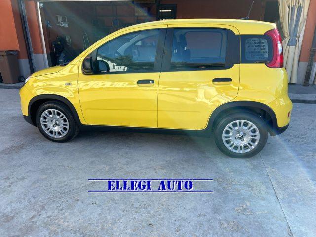 FIAT Panda PROMO FINANZ.PANDINA 1.0 Hybrid KM 0