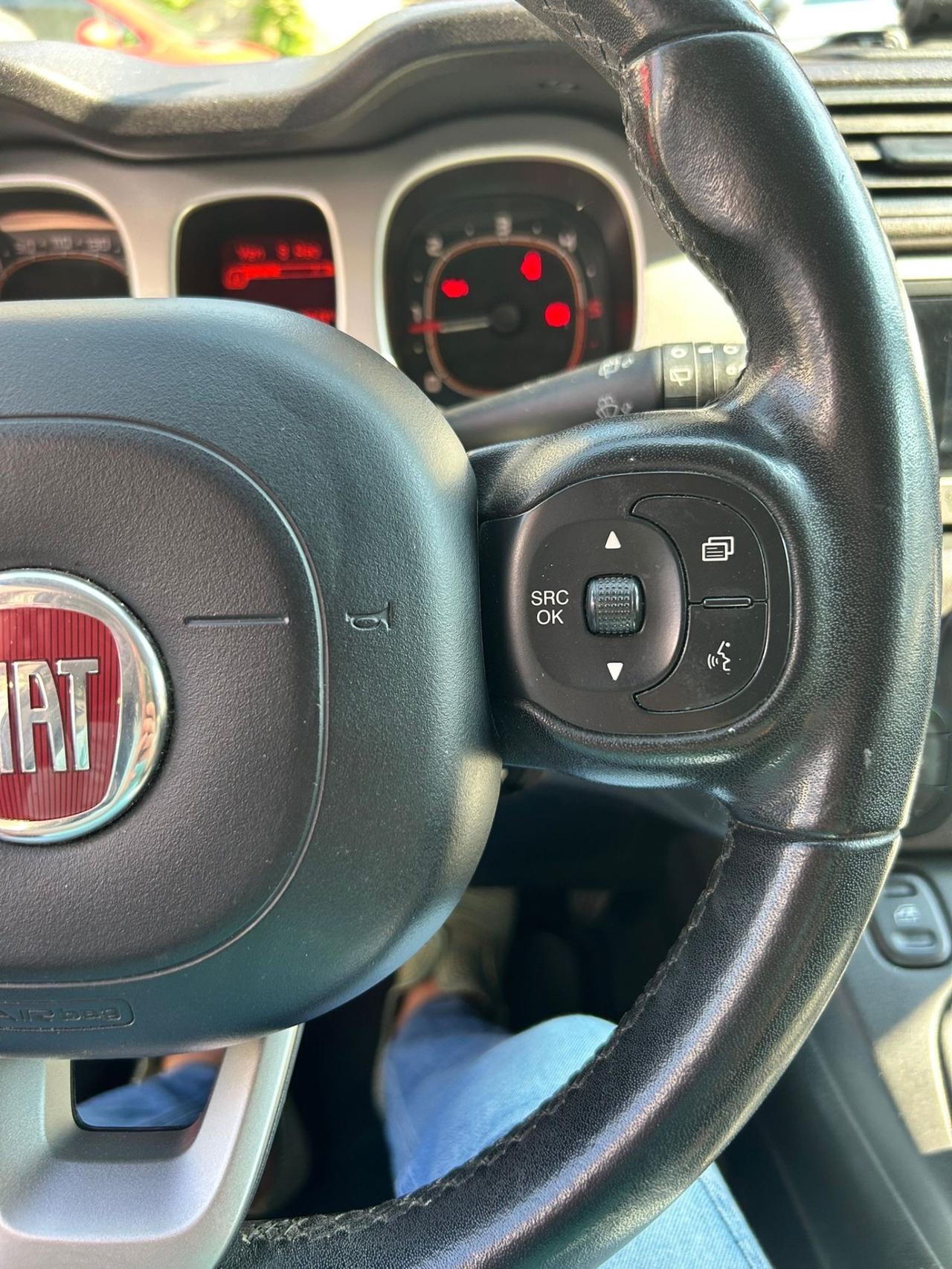 Fiat Panda Cross 1.3 MJT 95 CV S&S 4x4