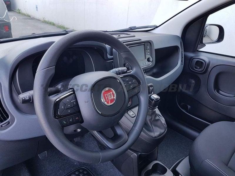 FIAT Panda Panda 1.0 firefly hybrid s&s 70cv