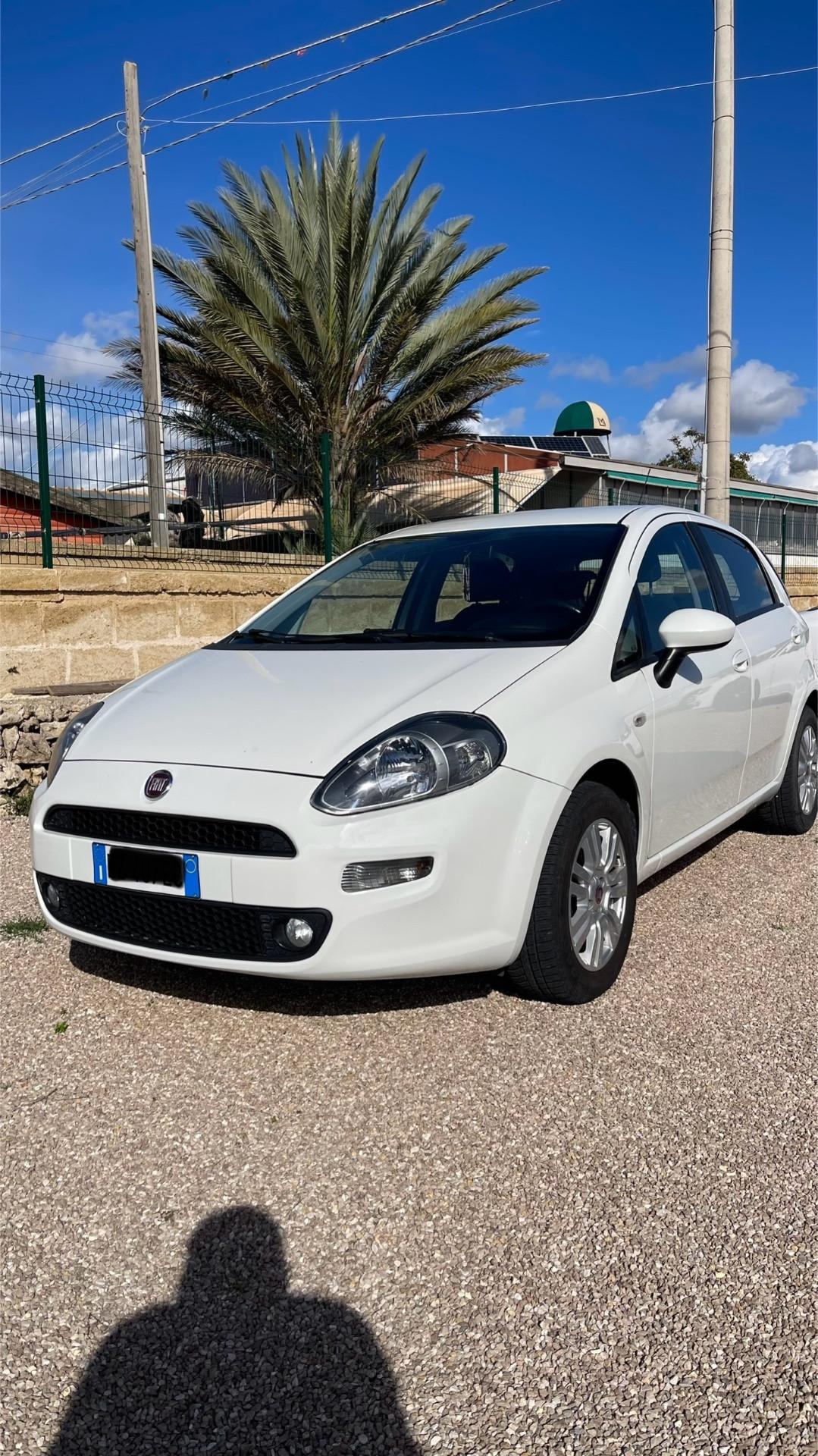 Fiat Punto 1.3 MJT II 75 CV 5 porte Street