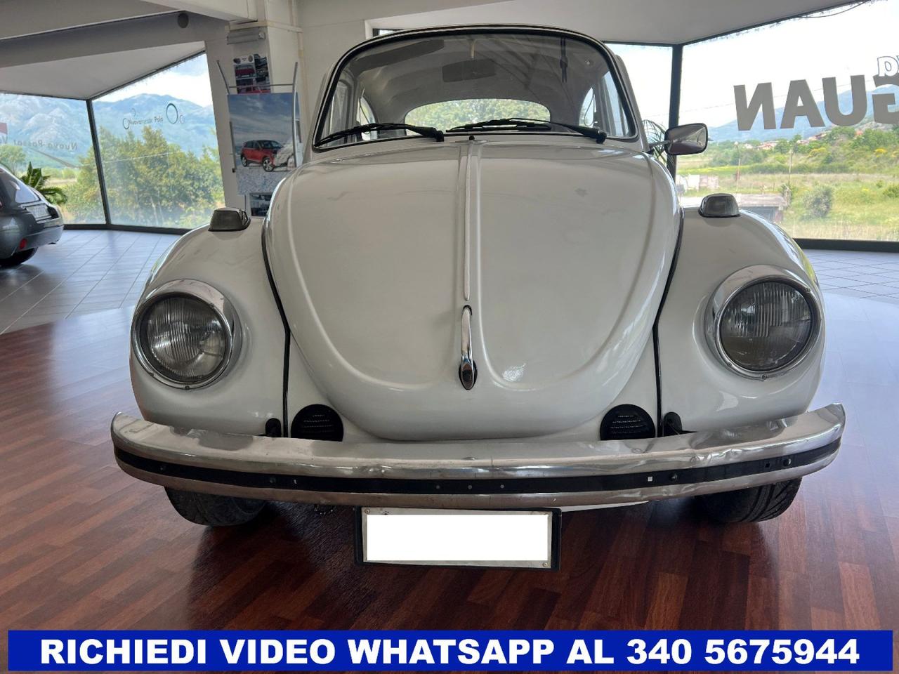 Volkswagen Maggiolino