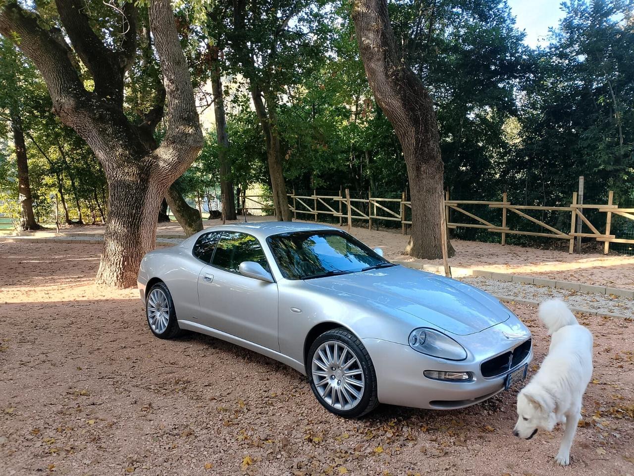 Maserati Coupe Coupé 4.2 V8 32V Cambiocorsa