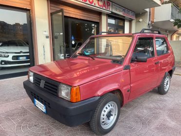 Fiat Panda 1100 i.e. cat College