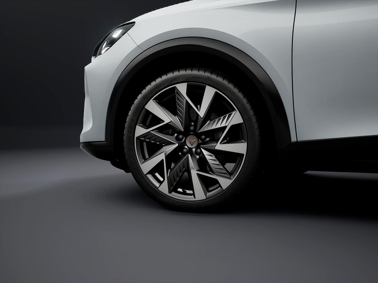 Cupra Formentor 2.0 tdi business 150cv dsg