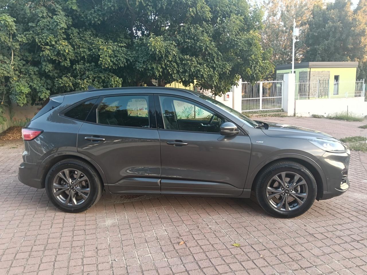 Ford Kuga 1.5 EcoBlue 120 CV 2WD ST-Line