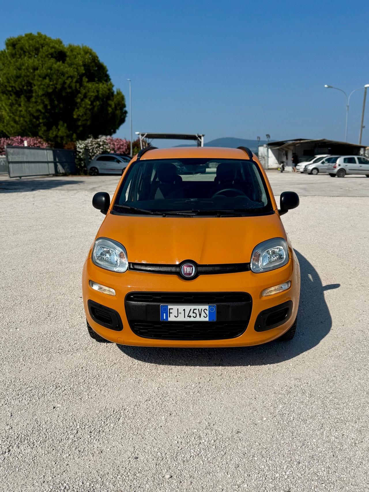 Fiat Panda 1.2 GPL euro6B NEOPATENTATATI Unicoproprietario