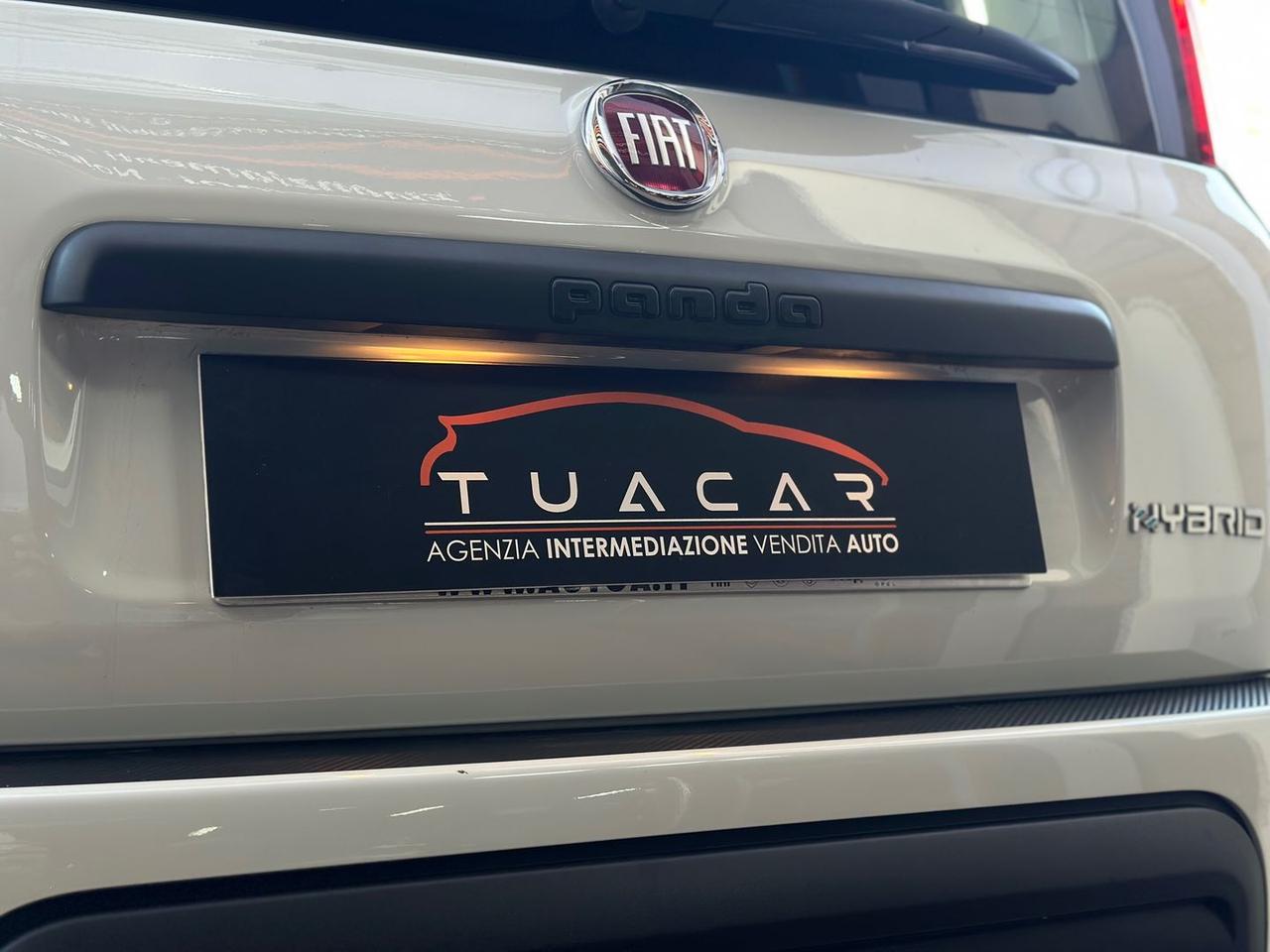 Fiat Panda 1.0 HYBRID MY24 #11654