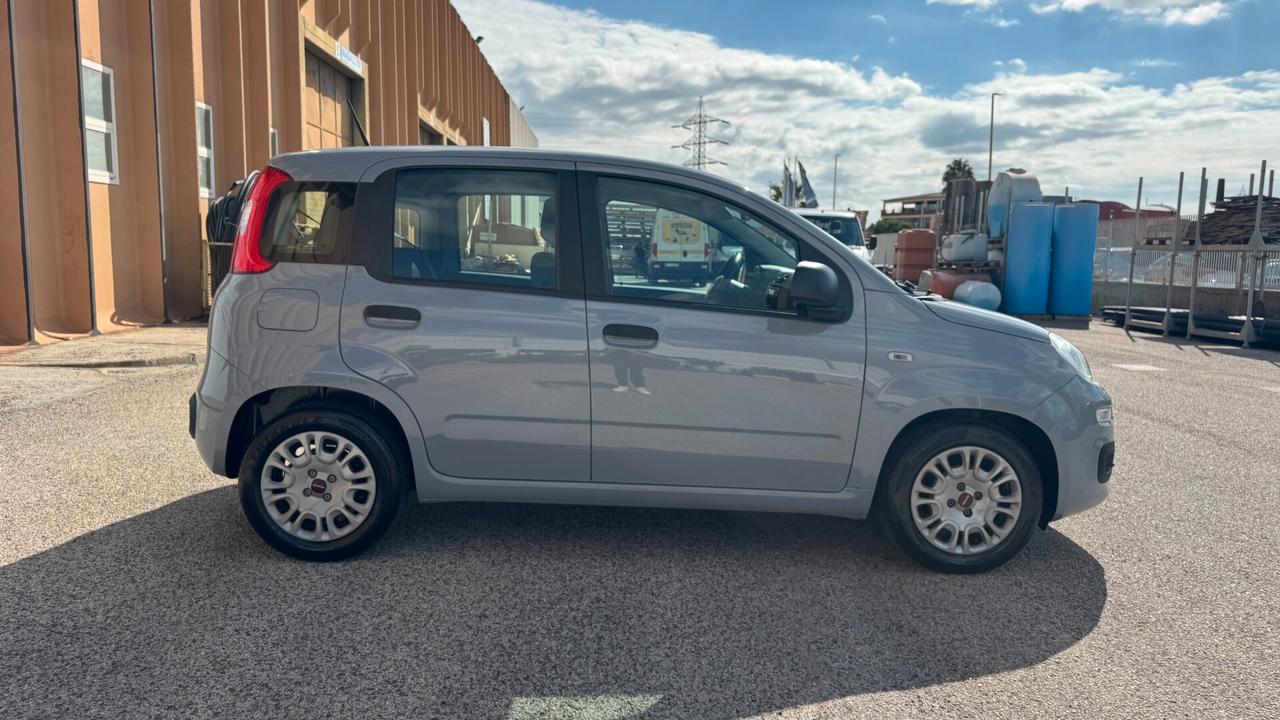 Fiat Panda 1.0 69CV- 2021