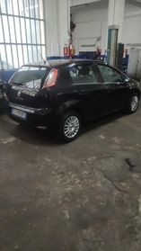 Fiat Punto 1.2 8V 5 porte Street