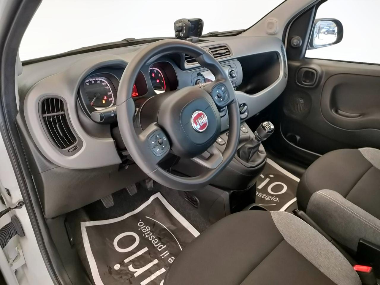 FIAT Panda III 2021 - Panda 1.0 firefly hybrid City Life s&s 70cv