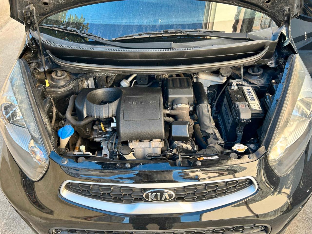 Kia Picanto 1.0 EcoGPL - 2017 *Leggi Descrizione