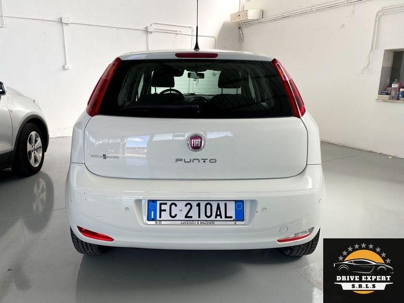 FIAT Punto Punto 1.4 8V 5 porte Natural Power Lounge