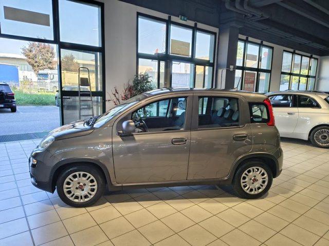 FIAT Panda 1.0 Hybrid City Life NEOPATENTATI