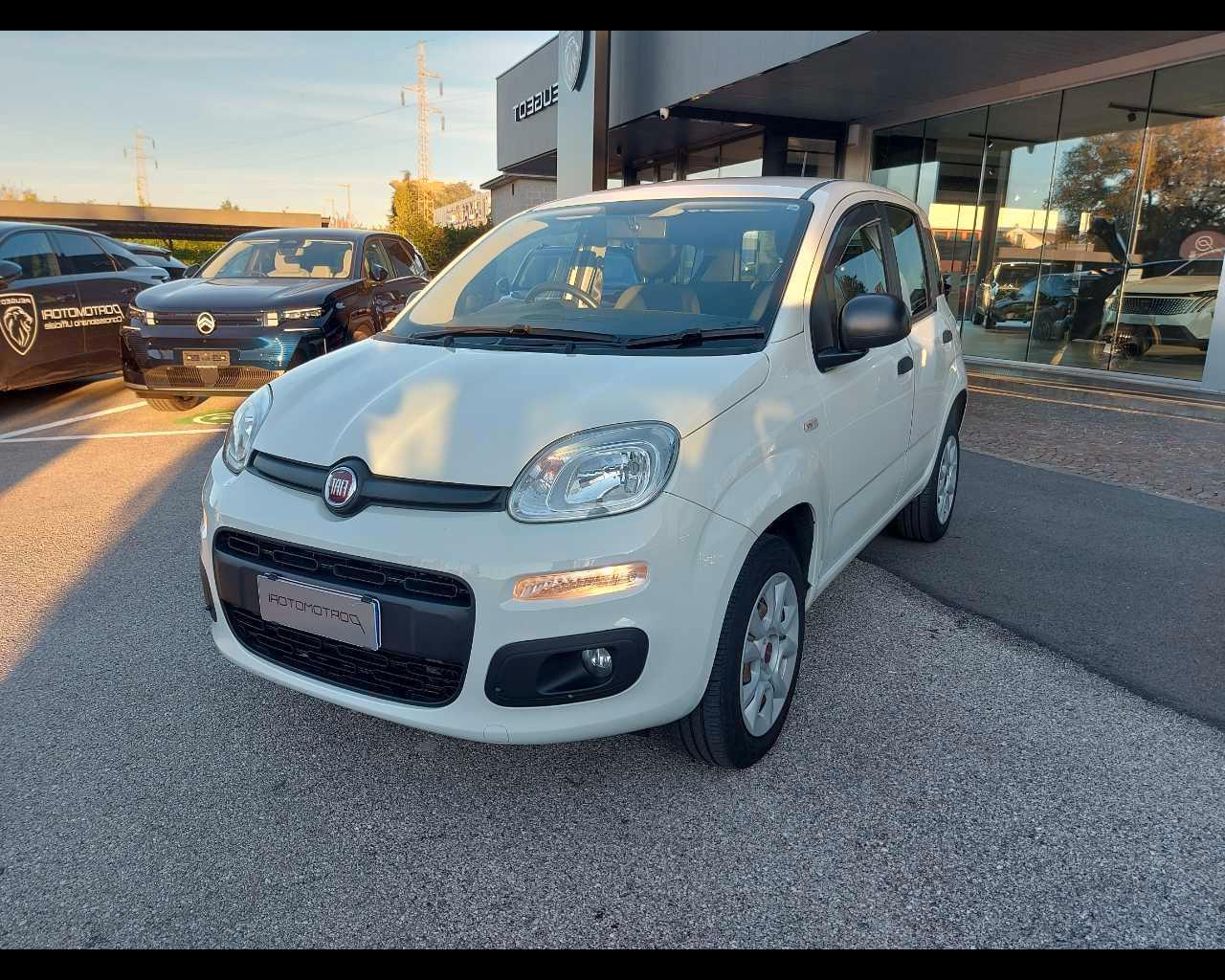 FIAT Panda 3ª serie - Panda 0.9 TwinAir Turbo Natural Power Easy