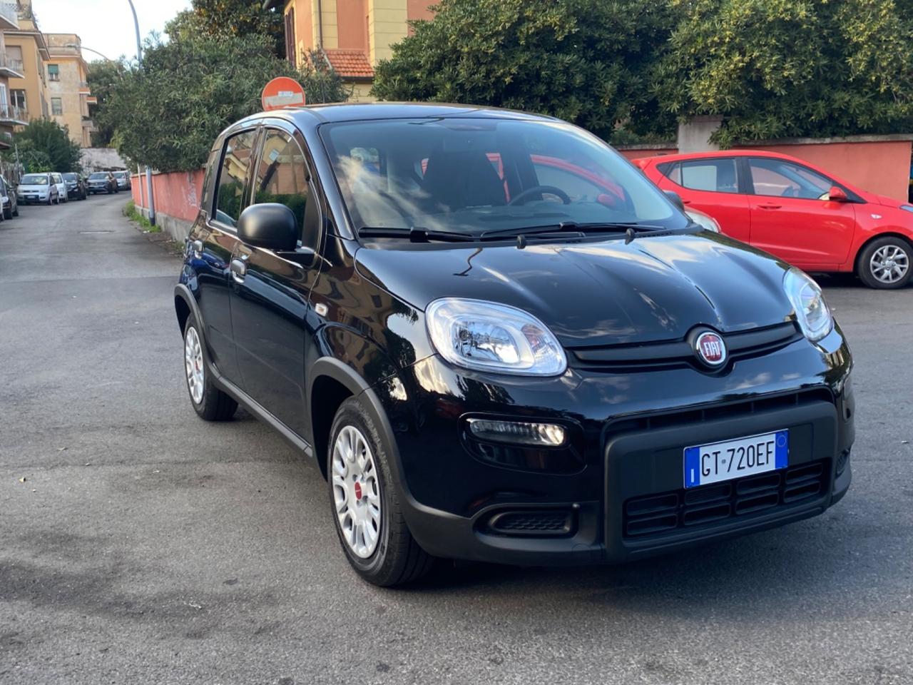 Fiat Panda 1.0 FireFly S&S Hybrid City Life 2024