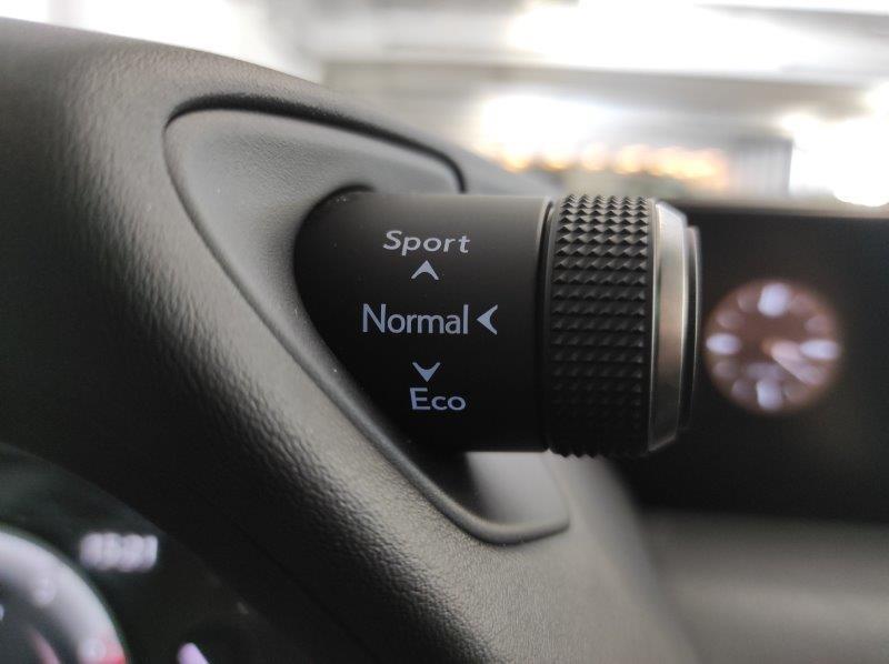 LEXUS UX - UX Hybrid Business