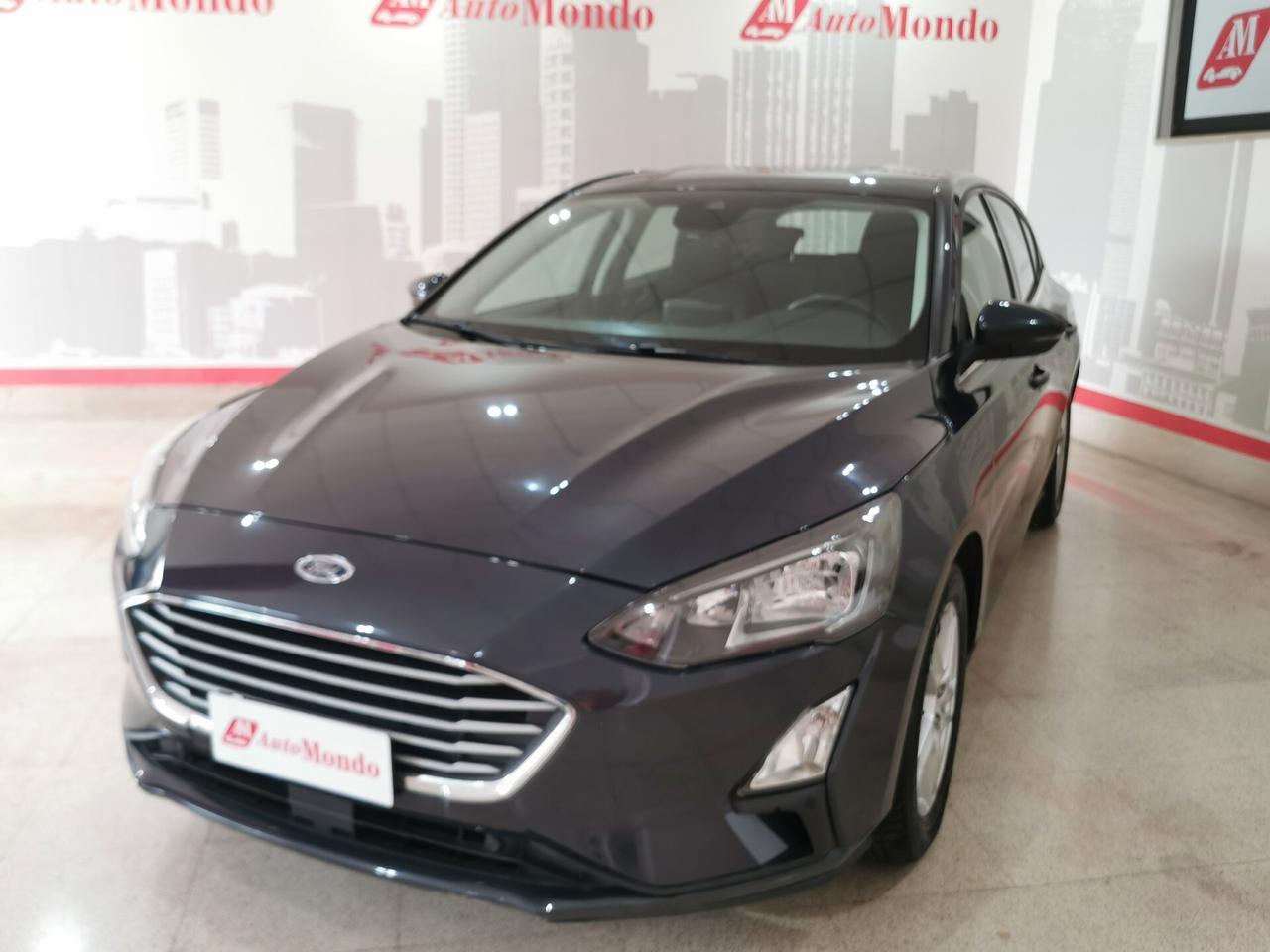 Ford Focus 1.5 EcoBlue 120 CV 5p. Business
