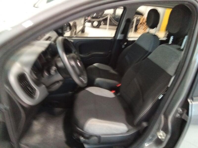 FIAT Panda Panda 1.0 firefly hybrid s&s 70cv 5p.ti