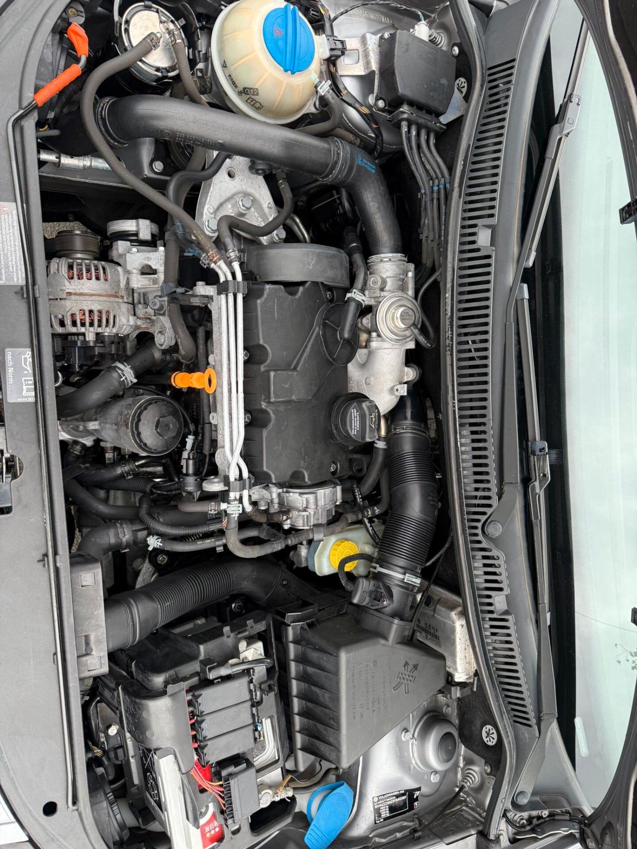 Volkswagen Polo 1.4/69CV TDI 2008 tagliandata