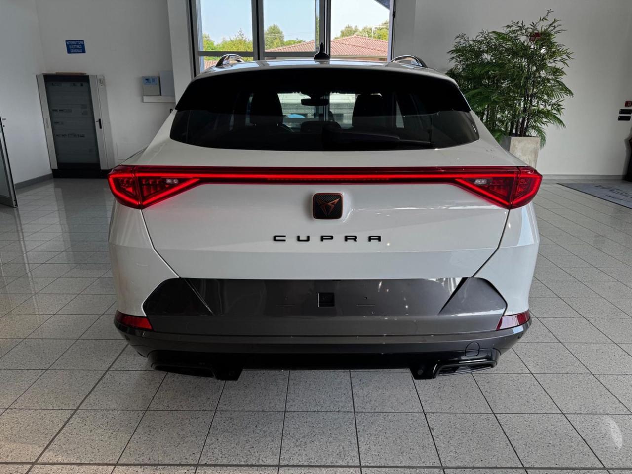 CUPRA Formentor 2.0 TDI 4Drive DSG - TELECAMERA!