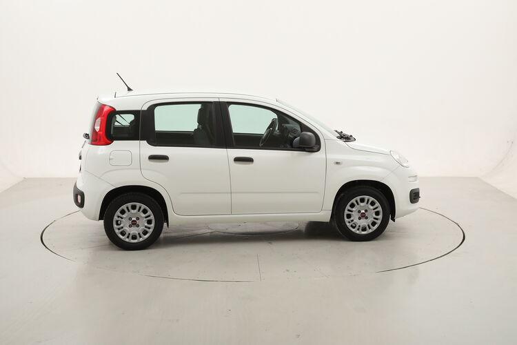 Fiat Panda Easy BR794879 1.2 Benzina 69CV