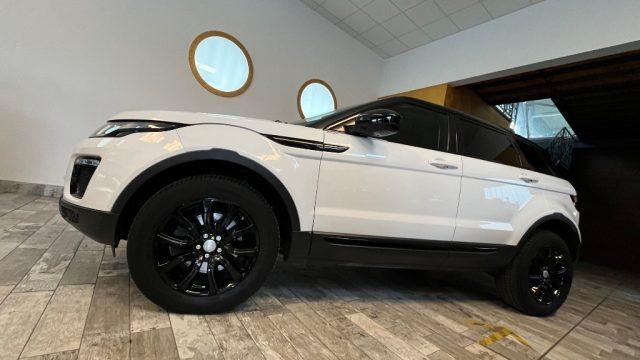 LAND ROVER Range Rover Evoque 2.0 TD4 150 CV 5p. Business Edition SE