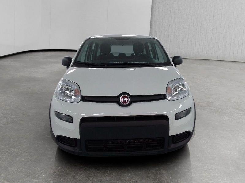 FIAT Panda 1.0 firefly hybrid s&s 70cv 5p.ti