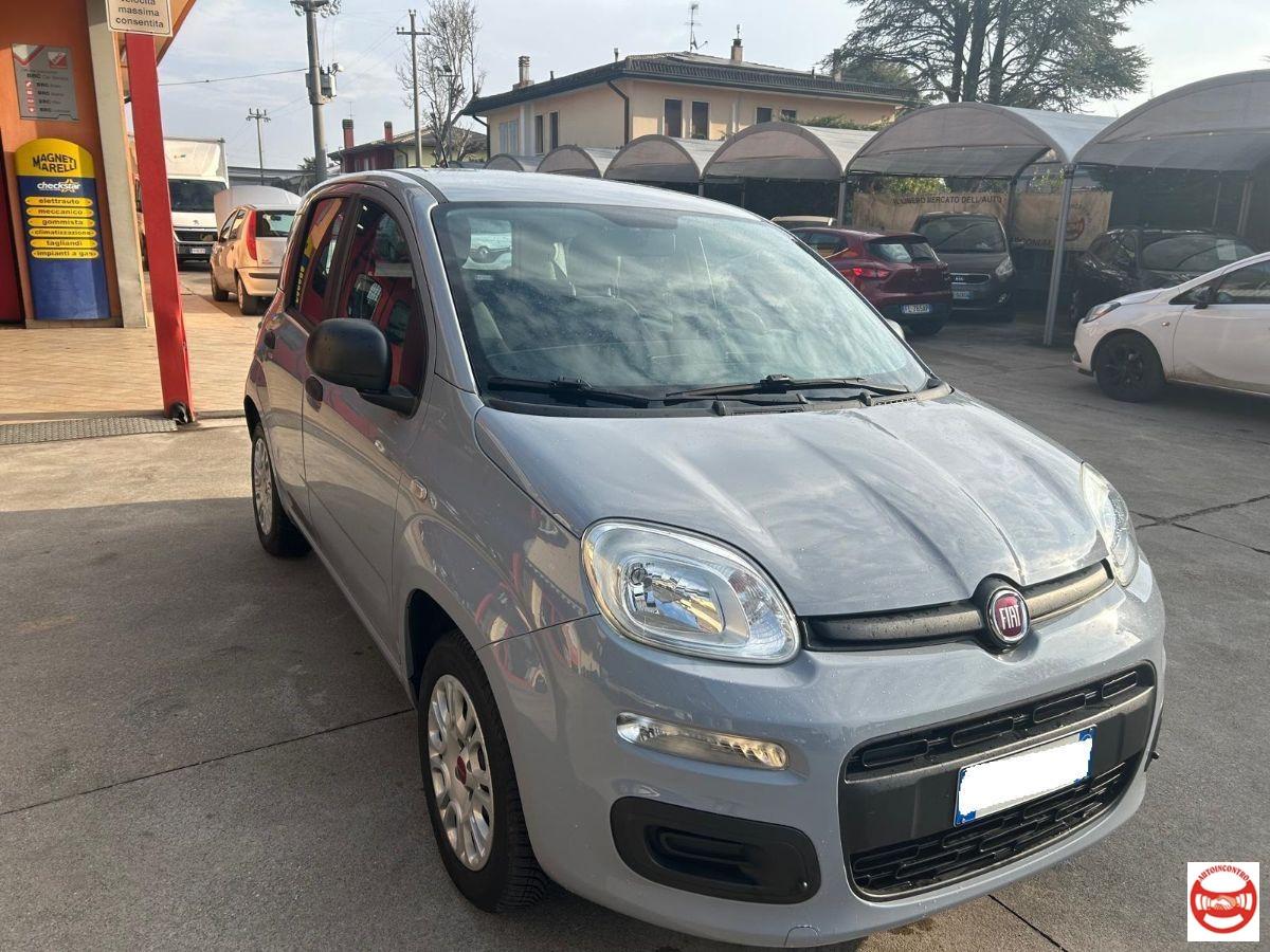 FIAT - Panda 1.2 Easy easypower Gpl 69cv my19
