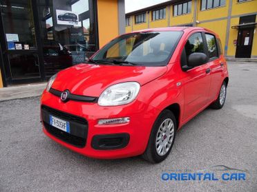 FIAT Panda Panda 1.2 IN OTTIME CONDIZIONI