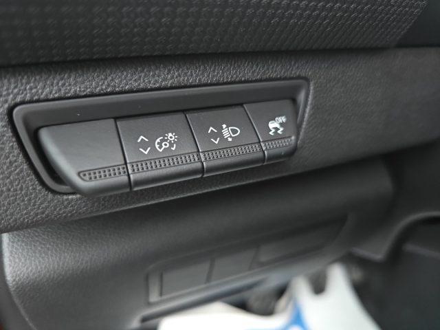 RENAULT Kangoo 1.5 Blue dCi 115 Van