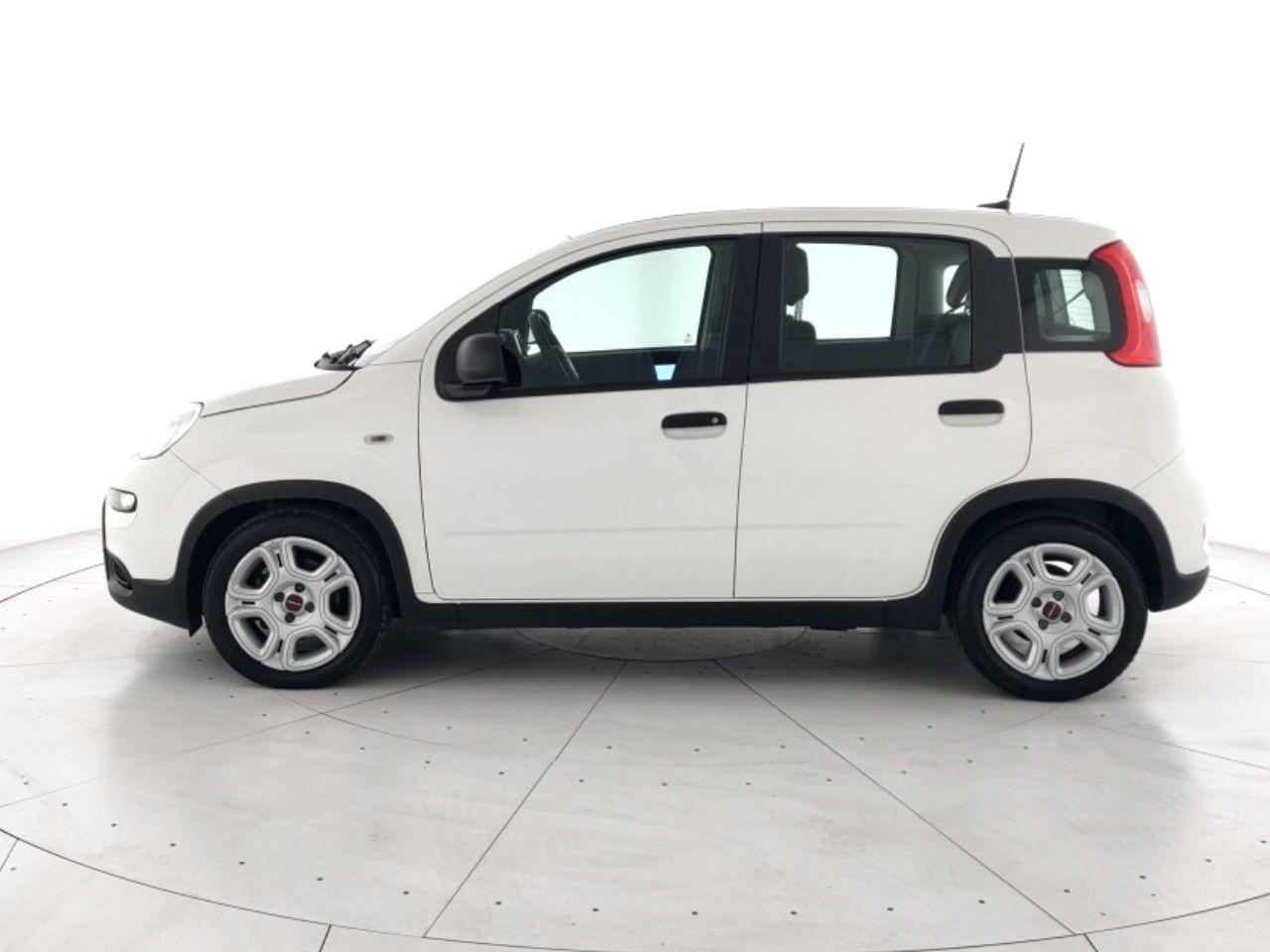 FIAT Panda 1.0 firefly hybrid s&s 70cv