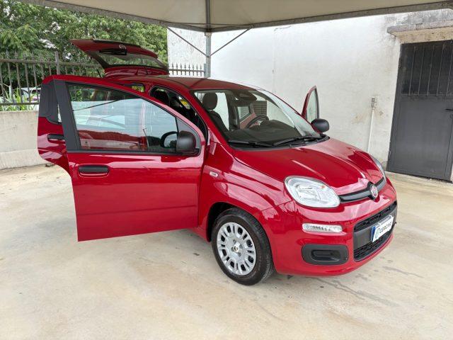 FIAT Panda 1.0 FireFly S&S IBRIDA COME NUOVA
