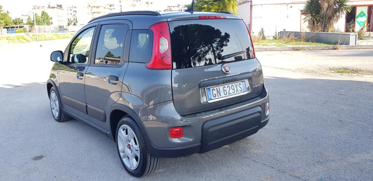 FIAT PANDA 1.0 FIREFLY HYBRID 13.000 KM. 05/2023