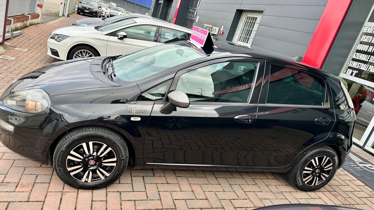 Fiat Punto 1.2 8V 5 porte Street