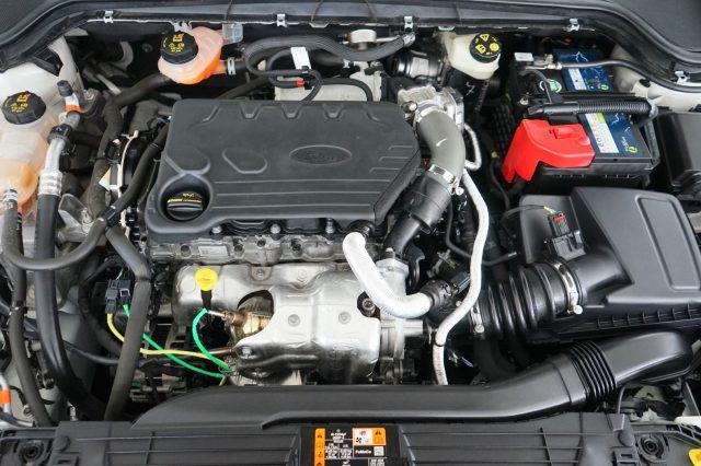 FORD Focus 1.5 EcoBlue 120 CV auto SW Co-Pilot