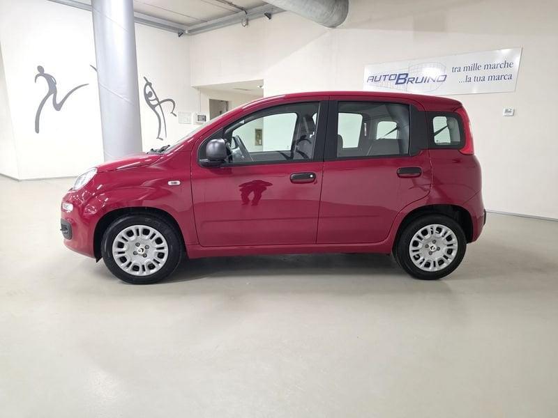 FIAT Panda 1.0 FireFly 70cv S&S Hybrid con Bonus EASY GO'