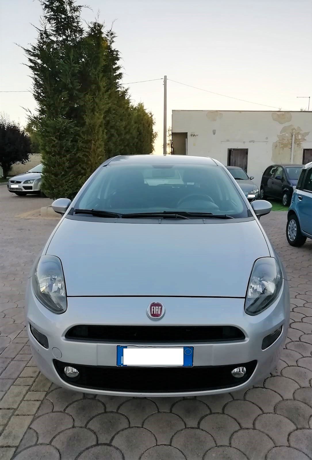 Fiat Punto Evo-2013