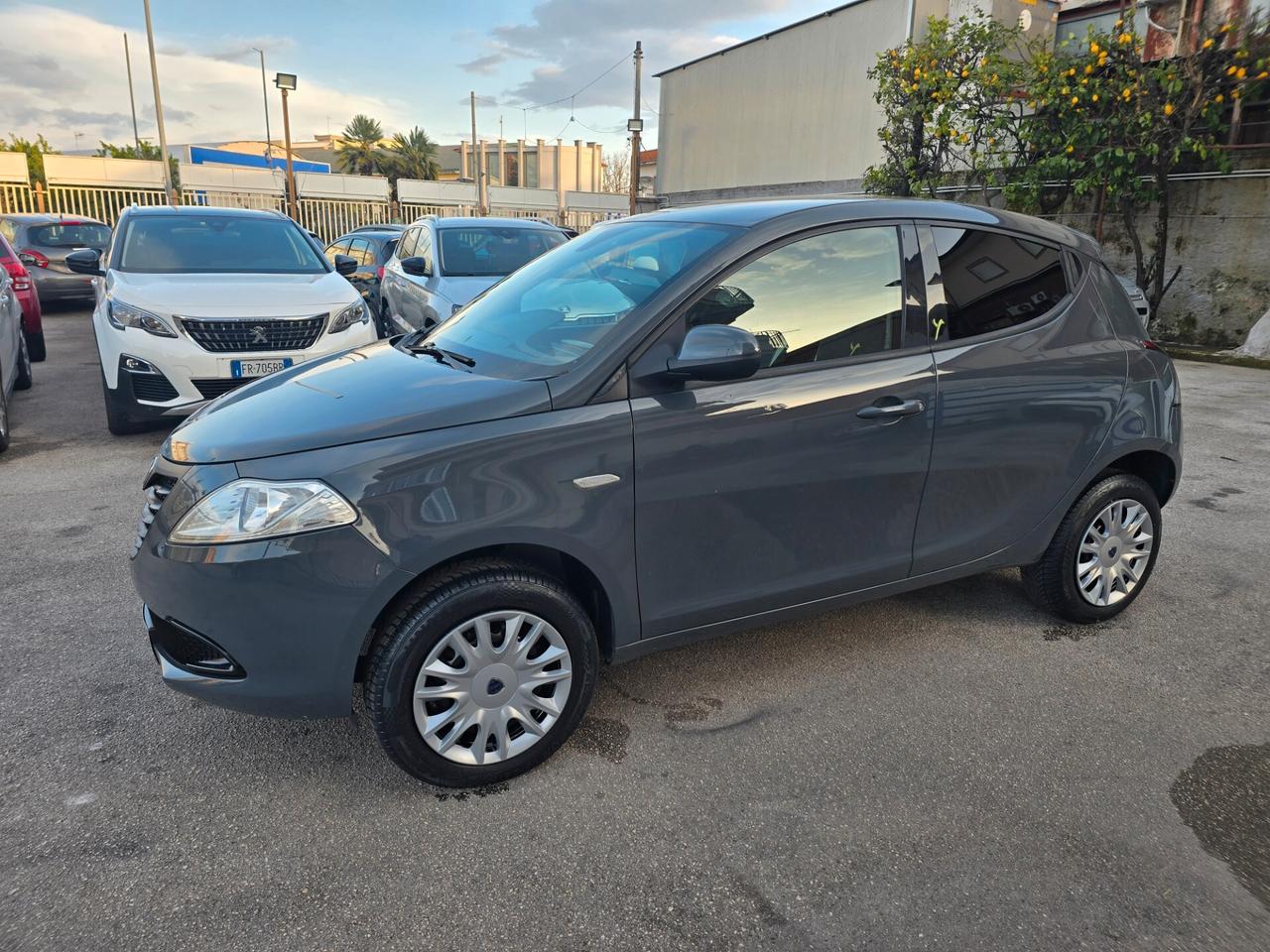 Lancia Ypsilon 0.9 TwinAir 85 CV 5 porte Metano Ecochic Elefantino
