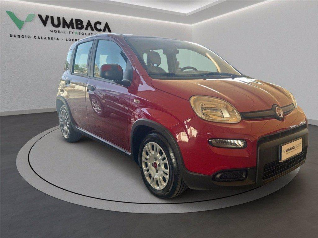 FIAT Pandina 1.0 firefly hybrid Icon s&s 70cv del 2024