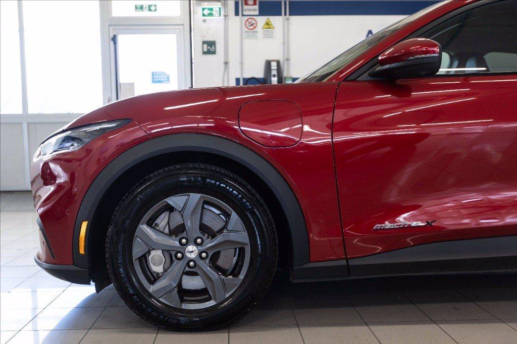 FORD Mustang Mach-e extended range rwd 294cv auto del 2022