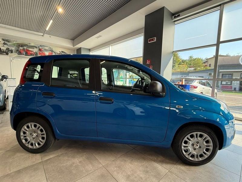 FIAT Pandina Pandina 5p 1.0 FireFly 65cv S&S 6m Hybrid Icon