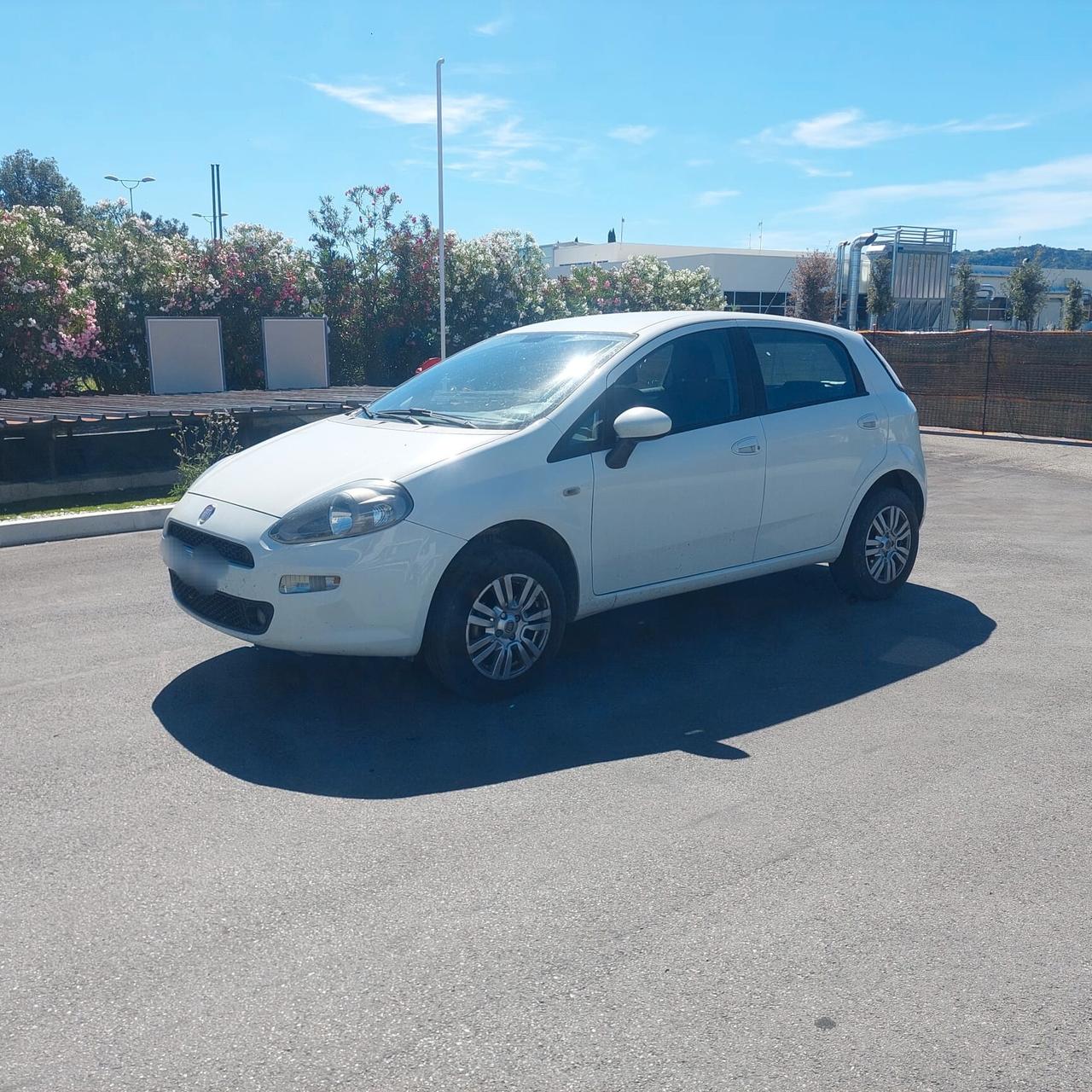 Fiat Punto 1.4 8V 5 porte Natural Power Street