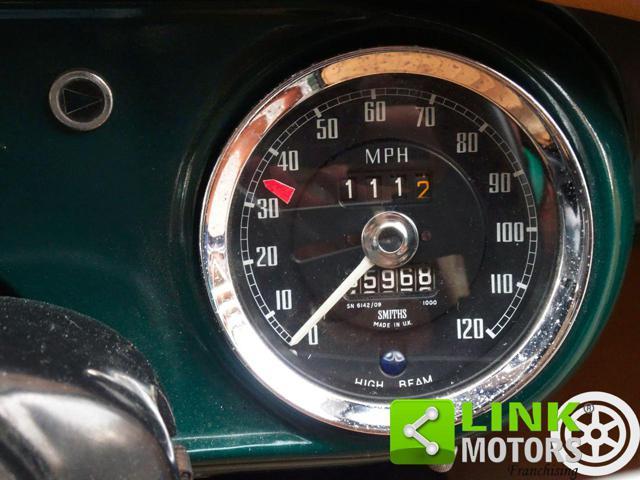 MG Other Midget