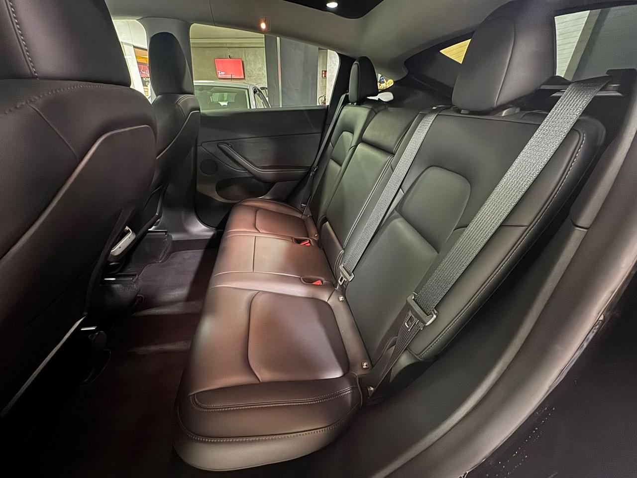 Tesla Model Y -- Standard Range / Standard S #8355