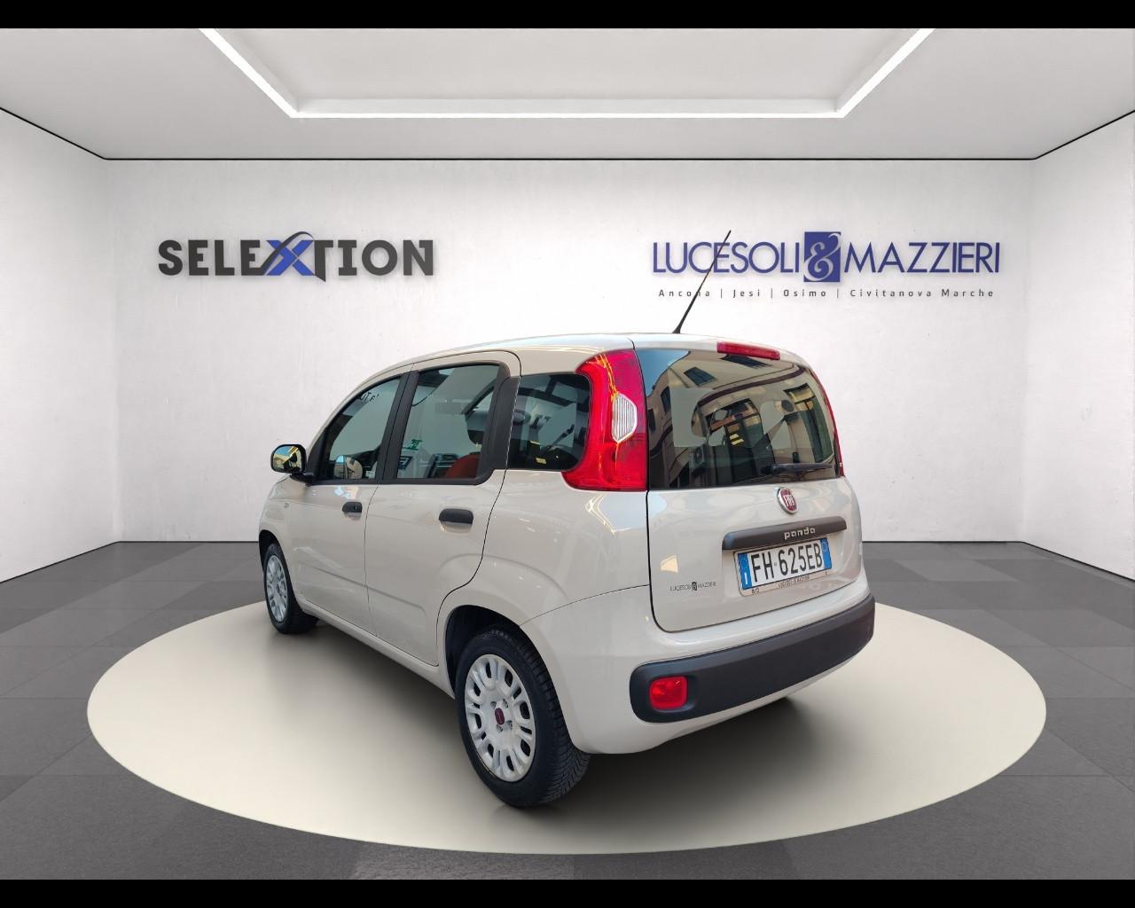 FIAT Panda 3ª serie - Panda 1.2 EasyPower Easy
